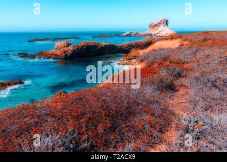 Poster style image, autumn foliage overlooking cliffs, rocks and blue ocean under blue skies. Stock Photo