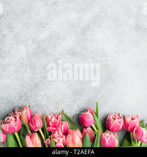 Pink Peony Tulips Frame. Greeting card, Invitation or wedding design background Stock Photo