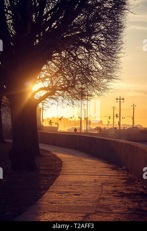 Spit of Vasilyevsky Island at sunset. St. Petersburg downtown. City sights. Evening in the city Stock Photo