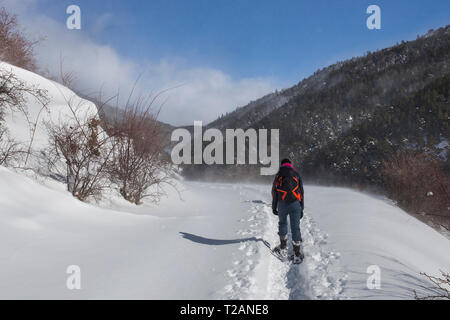 Woman climbing to the refuge of 'Comes de Rubió' in winter with snowshoes, Soriguera, Lleida, Catalonia, Spain. Stock Photo