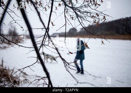 English setter 'Rudy' on 03.02. 2019 with his best friend in the snowy field of Stara Lysa, (Czech Republic). Rudy was born in early January 2017. | usage worldwide Stock Photo