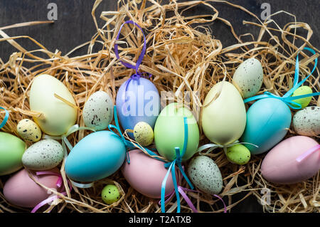 Easter holiday natural composition with first spring flowers like tricolor violas and primerose , colored eggs Stock Photo