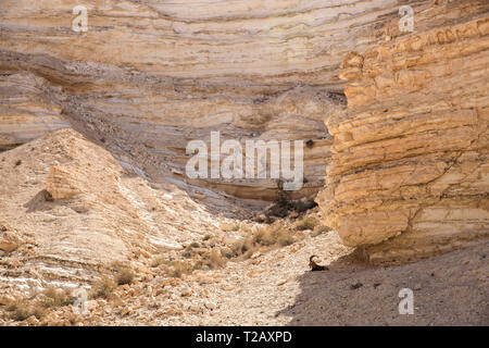 Marl stone formations. Eroded cliffs made of marl. Marl is a calcium carbonate-rich, mudstone formed from sedimentary deposits. Photographed in Israel Stock Photo