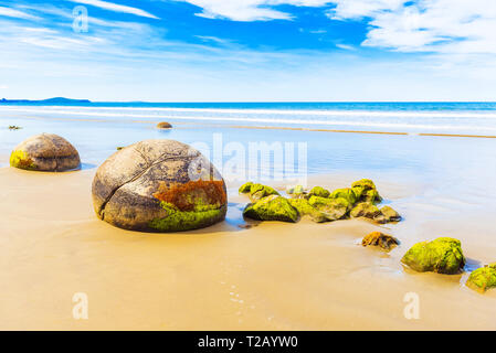 Moeraki boulders on Koyokokha beach in the Otago region, New Zealand. Copy space for text Stock Photo