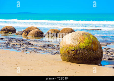 Moeraki boulders on Koyokokha beach in the Otago region, New Zealand. Copy space for text Stock Photo