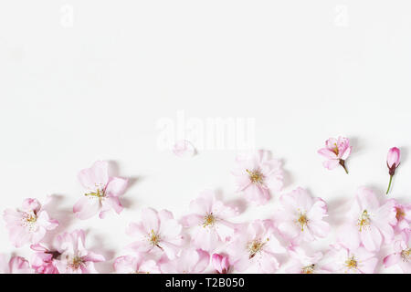 Closeup of decorative banner made of pink Japanese cherry blossoms. Styled stock photo. Spring, Easter feminine scene, floral composition, white backg Stock Photo