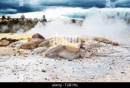 Hot Springs in Te Puia, Rotorua in New Zealand on the North Island Stock Photo