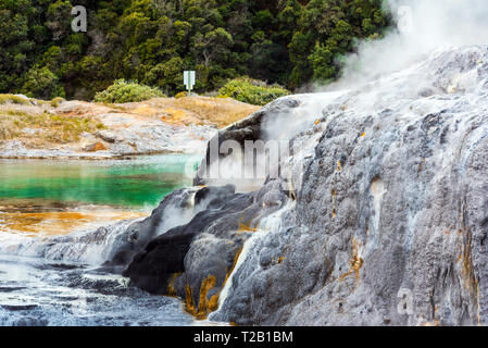 Hot Springs in Te Puia, Rotorua in New Zealand on the North Island Stock Photo