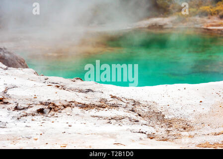 Hot Springs in Te Puia, Rotorua in New Zealand on the North Island. With selective focus Stock Photo