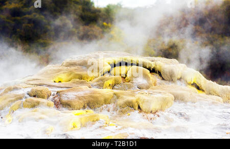 Hot Springs in Te Puia, Rotorua in New Zealand on the North Island. With selective focus Stock Photo