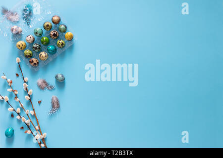 Coloured Easter quail eggs in transparent plastick container  on blue background, flat lay, copyspace. Easter holiday decorations , Easter concept bac Stock Photo