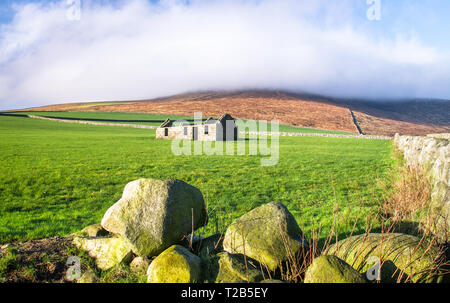 An old and unfinished stone house sits in a large grassy field for sheep grazing on Slieve Binnian in the Mourne Mountains, Northern Ireland, UK. Stock Photo