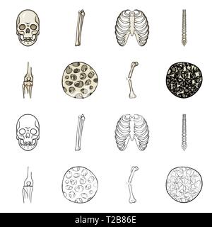 skull,femur,rib,spine,fiber,fracture,osteoporosis,death,cage ...