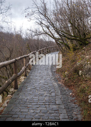 Stone walking road in nature park Plitvice lakes in Croatia Stock Photo