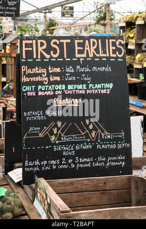Information board explaining the culture of First Early seed potatoes in an English garden centre in March Stock Photo