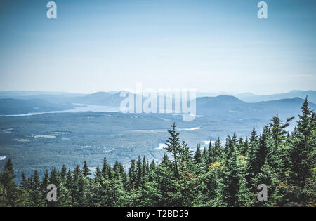 View over boreal forest and misty mountains. Canadian nature. Stock Photo