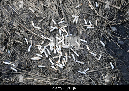 Cigarette butts on the lawn of the city in the spring after the snow melts. ecology Stock Photo