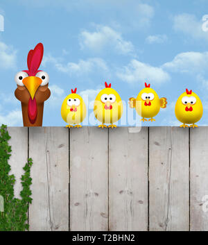 cute free range cihcken mother with her chick kids, sitting on old wooden fence, isolated on white background Stock Photo