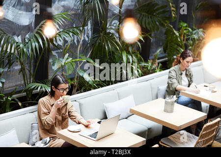 Lady drinking coffee while working in cafe Stock Photo