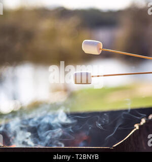 Marshmallow on wooden sticks over a smoking bonfire in the grill. Picnic dessert Stock Photo