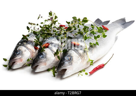 Fresh  whole sea bass fish with spices isolated on a white Stock Photo