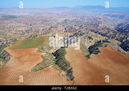 AERIAL VIEW. Olive tree plantation on a plateau's edge overlooking a vast landscape of badlands. Gorafe, Andalusia, Splain. Stock Photo