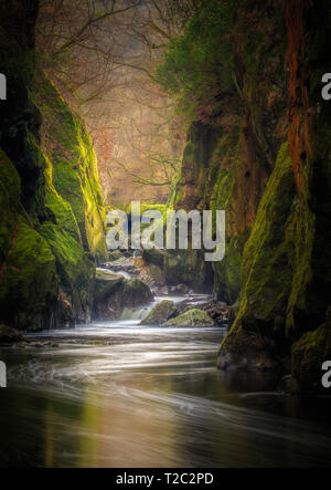 The Afon Conwy flowing through the narrow gorge known as the Fairy Glen. The late afternoon sun catching on the mossy rocks threw reflected light acro Stock Photo