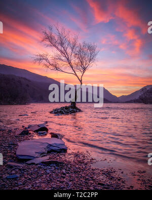 The most incredible sunrise over Llyn Padarn, Llanberis, Wales. The clouds caught with an intensity I've seldom seen before, and never had the fortune Stock Photo
