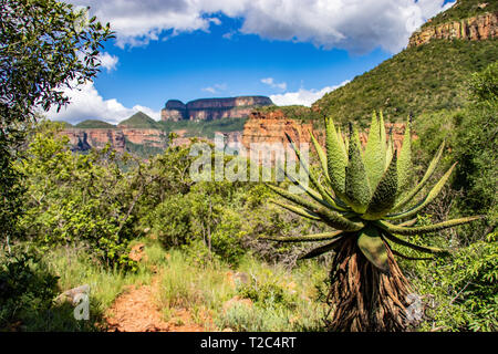 Blyde River Canyon and The Three Rondavels (Three Sisters) in Mpumalanga, South Africa. The Blyde River Canyon is the third largest canyon worldwide Stock Photo