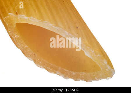 Extreme macro shot of a penne pasta showing the structure of the surface. Stock Photo