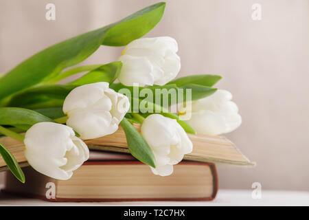 Beautiful composition with white tulips and old books on a beige blurred background in the morning light. Spring reading. Stock Photo