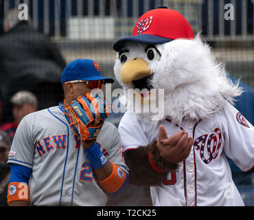 Washington, United States Of America. 31st Mar, 2019. New York Mets second baseman Robinson Cano (24) commiserates with the Washington Nationals mascot Screech prior to the game at Nationals Park in Washington, DC on Sunday, March 31, 2018. Credit: Ron Sachs/CNP (RESTRICTION: NO New York or New Jersey Newspapers or newspapers within a 75 mile radius of New York City) | usage worldwide Credit: dpa/Alamy Live News Stock Photo