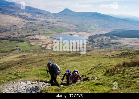Hikers hiking up a scenic mountain path on Y Garn to start the Nantlle Ridge above Rhyd Ddu, Gwynedd, Wales, UK, Britain Stock Photo