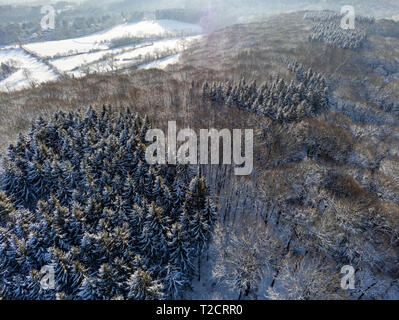 Snow covered tree tops seen from above during sunny winter day in Germany Stock Photo
