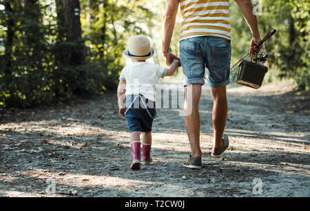 A rear view of father with a small toddler son walking on a path in wood, going fishing. Stock Photo