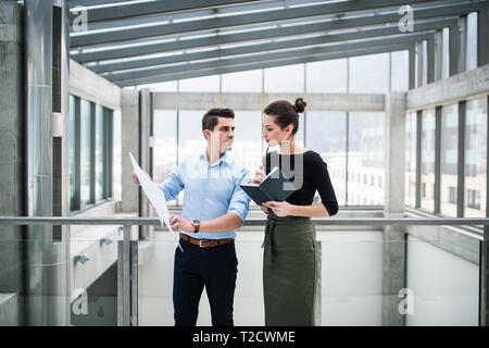 Two young male and female architects with blueprints standing in office, talking. Stock Photo