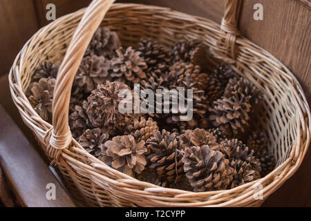 Pine cones in wicker basketplant Stock Photo