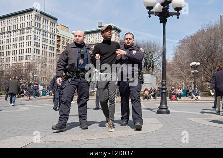 Two policemen arresting a young African American male and leading him away in handcuffs. At Union Square Park in Lower Manhattan, New York City Stock Photo