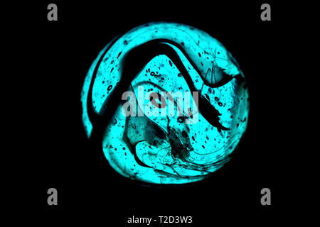 Close up of the patterns inside a back lit blue glass marble on a black background. Stock Photo