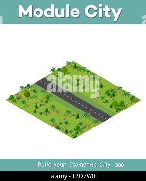 Vector flat isometric city with amusement park attractions Stock Vector ...