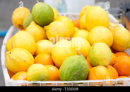 Citrus fruits - lemons, limes, oranges in box Stock Photo