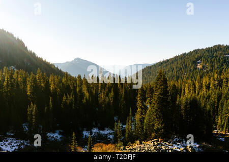 Scenic View in Mount Rainier National Park Stock Photo