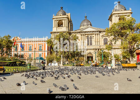 Plaza Murillo, La Paz central square full of pigeons with cathedral in the background, Bolivia Stock Photo