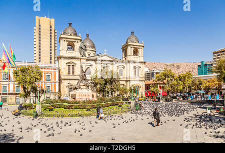 Plaza Murillo, La Paz central square full of pigeons with cathedral in the background, Bolivia Stock Photo