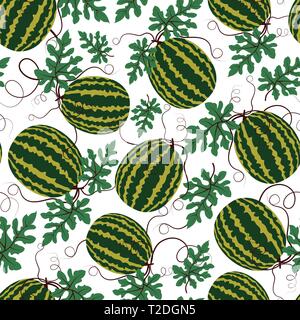 Seamless repeat vector pattern of of green watermelon on a white background. Juicy watermelon summer fruit. Water fruit. Market fruit. Stock Vector