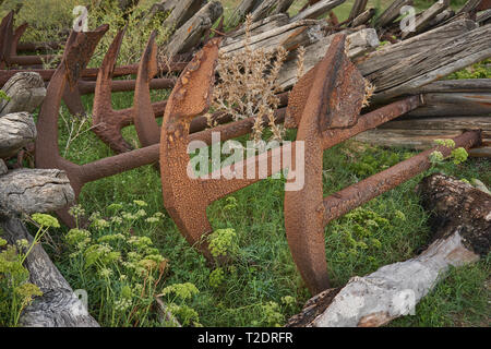 Old abandoned rusty anchors. Landscape format. Stock Photo
