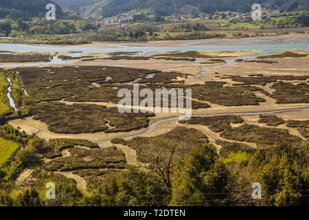 Marshes in the Urdaibai biosphere reserve. sunny day Stock Photo