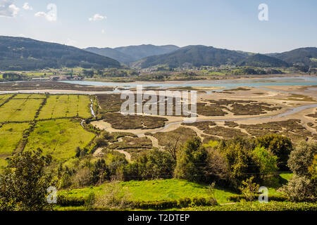 Marshes in the Urdaibai biosphere reserve. sunny day Stock Photo