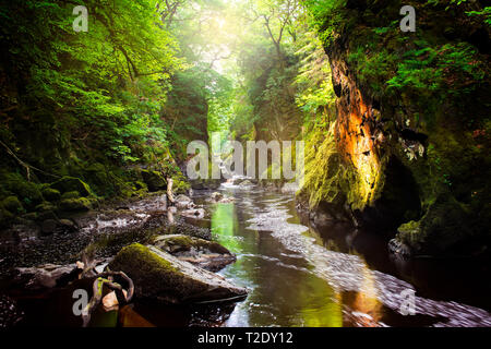 Fairy Glen valley , Betws-y-Coed - Ffos Anoddun. Wales Stock Photo