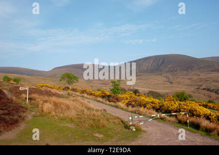 Walking trail on sunny day with blue sky at an Irish Mountain range in at the Comeragh Mountains, County Waterford, Munster, Ireland. Stock Photo